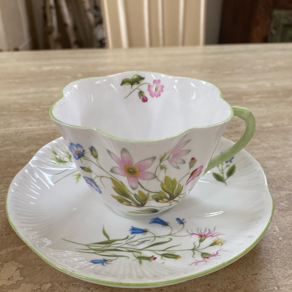 Floral Teacup and Saucer Set Beautiful Shelley